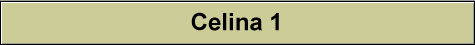 Celina 1