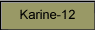 Karine-12